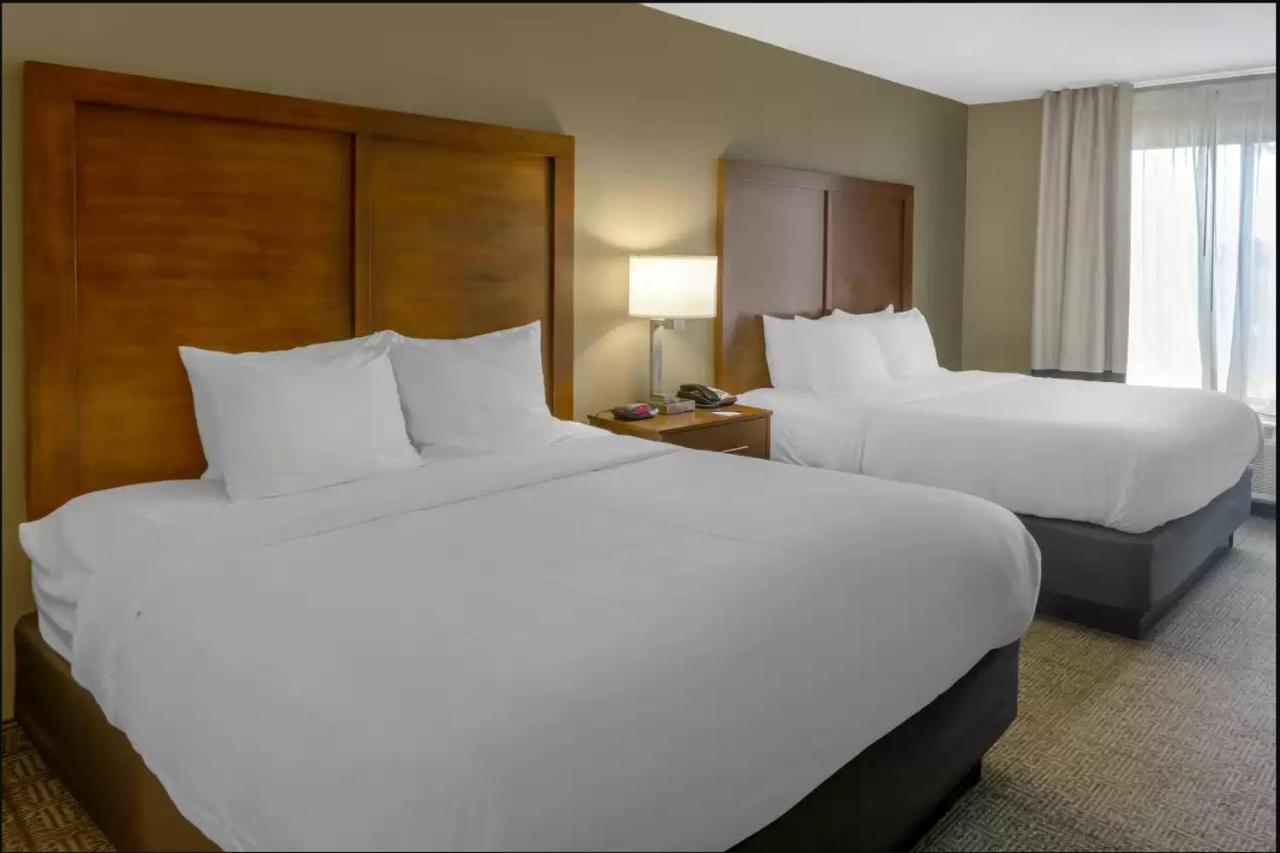Comfort Inn & Suites Peachtree Corners Norcross Eksteriør billede