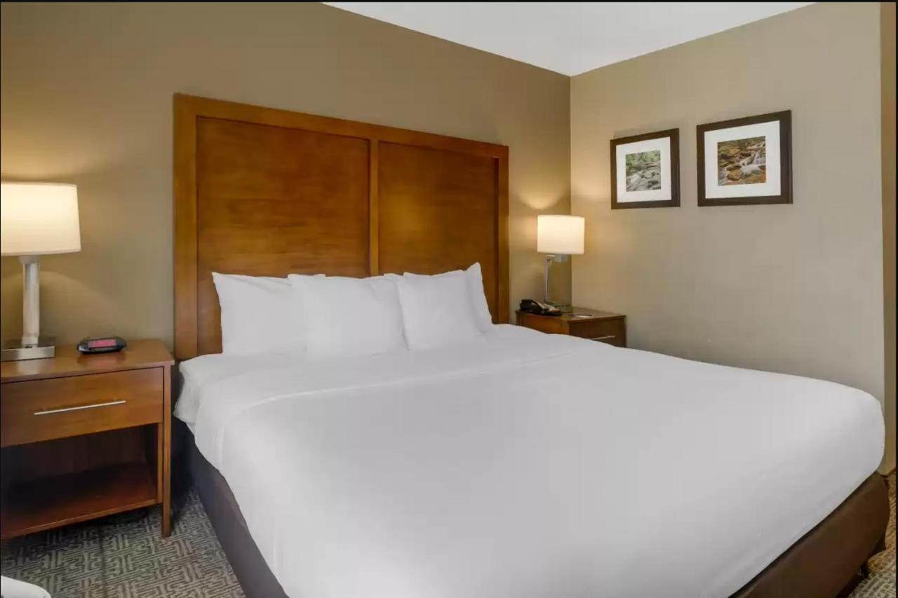 Comfort Inn & Suites Peachtree Corners Norcross Eksteriør billede
